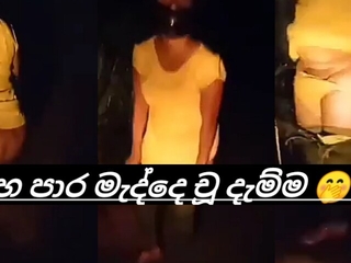 Sri lankan aunty alfresco pissing video