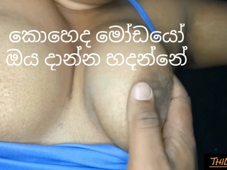 Sri lankan big gut girl having leman